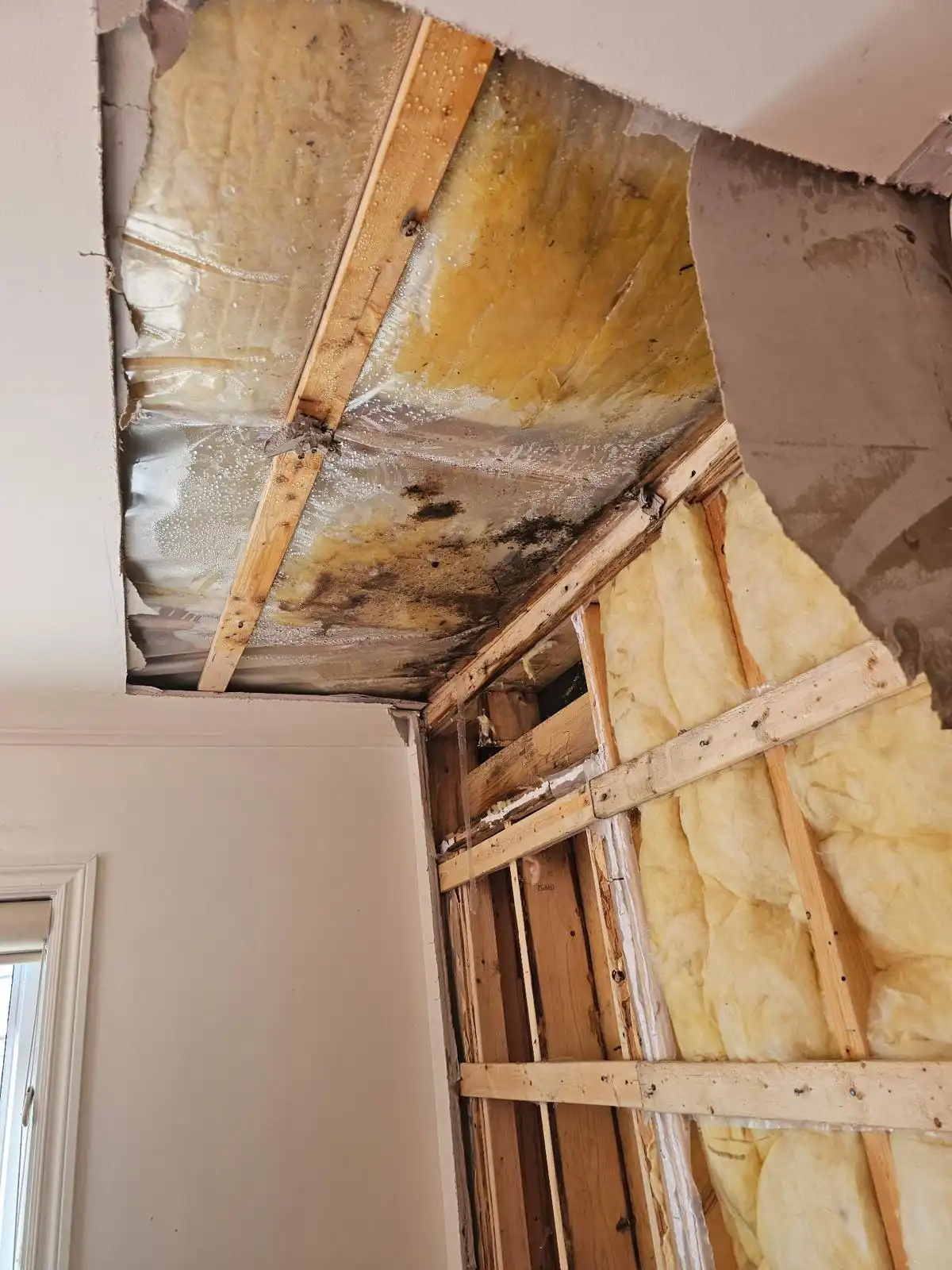Technicien inspectant une infiltration d'eau au plafond par thermographie infrarouge